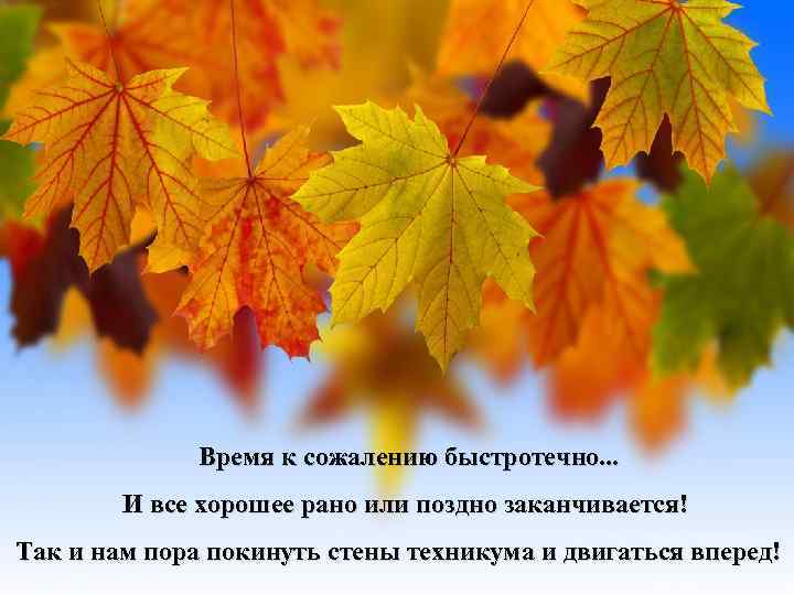 Время к сожалению быстротечно. . . И все хорошее рано или поздно заканчивается! Так