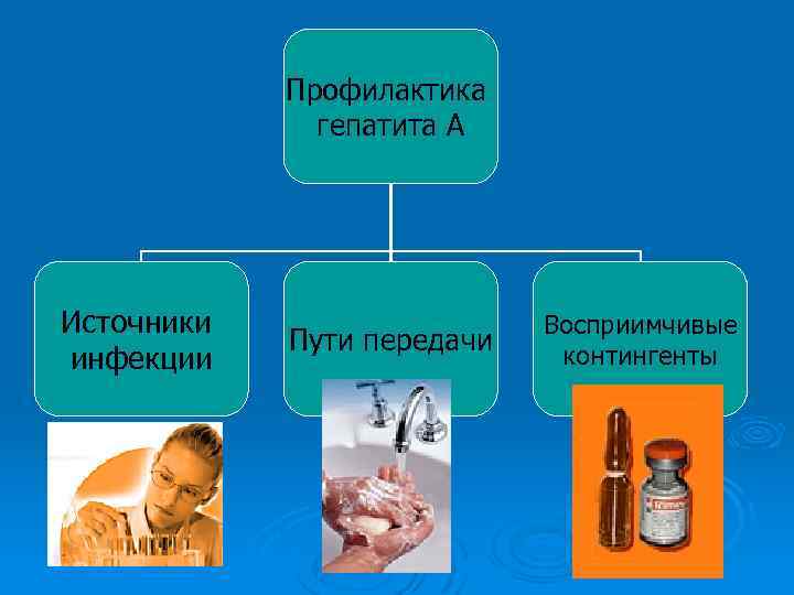 Профилактика гепатита А Источники инфекции Пути передачи Восприимчивые контингенты 