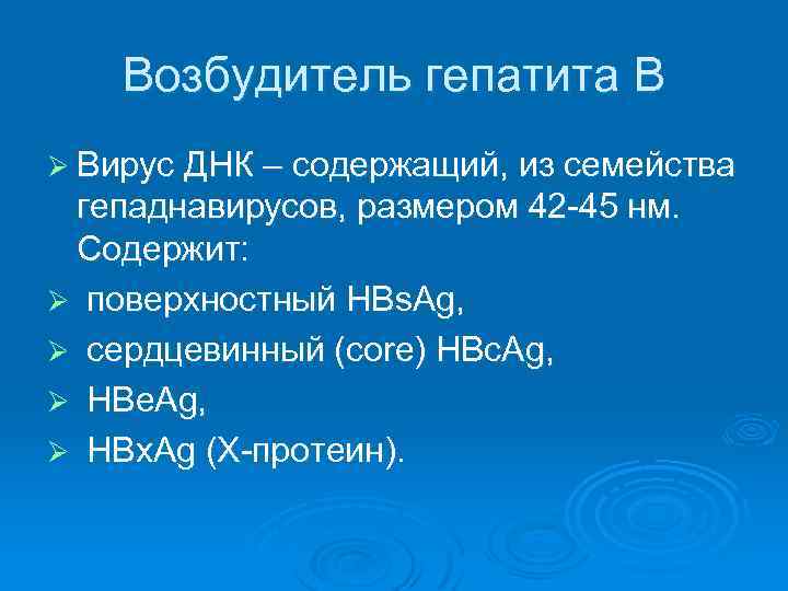 Возбудитель гепатита В Ø Вирус ДНК – содержащий, из семейства гепаднавирусов, размером 42 -45