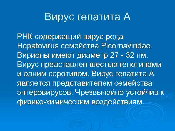 Вирус гепатита А РНК-содержащий вирус рода Hepatovirus семейства Picornaviridae. Вирионы имеют диаметр 27 -