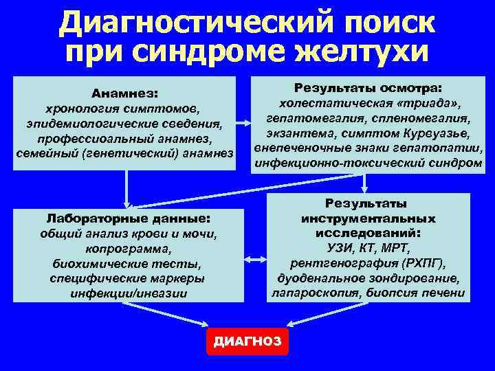 План обследования при синдроме желтухи