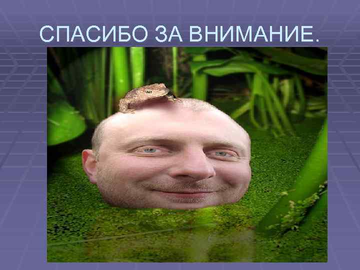 СПАСИБО ЗА ВНИМАНИЕ. 