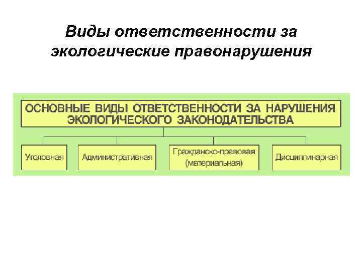 Виды ответственности за экологические правонарушения 