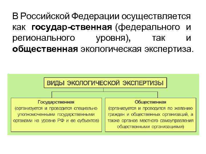 В Российской Федерации осуществляется как государ ственная (федерального и регионального уровня), так и общественная