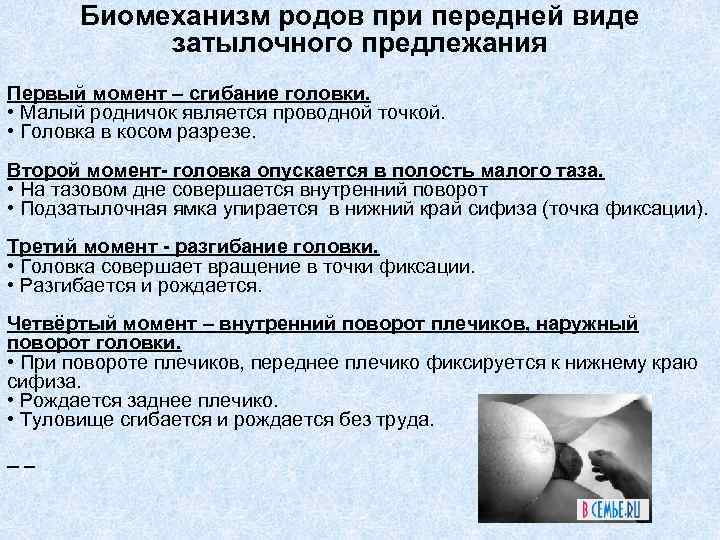 Биомеханизм родов при передней виде затылочного предлежания Первый момент – сгибание головки. • Малый