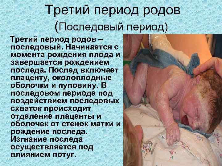 Третий период родов (Последовый период) Третий период родов – последовый. Начинается с момента рождения