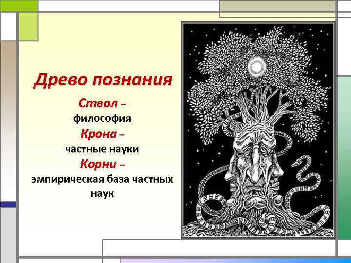 Познать науку. Древо философов. Дерево философии. Древо познания философия. Дерево знаний философия.