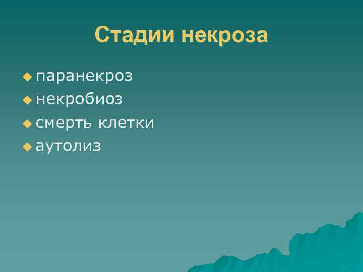 Стадии некроза u паранекроз u некробиоз u смерть клетки u аутолиз 