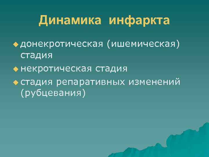 Динамика инфаркта u донекротическая (ишемическая) стадия u некротическая стадия u стадия репаративных изменений (рубцевания)