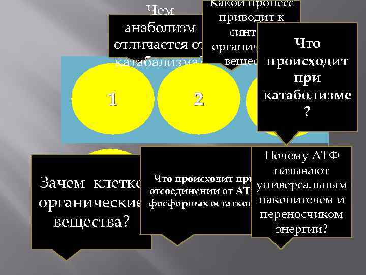 Какой процесс Чем приводит к анаболизм синтезу отличается от органических Что происходит катабализма? веществ.