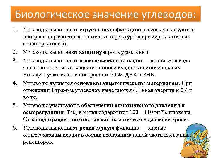 Биологическое значение углеводов: 1. 2. 3. 4. 5. 6. Углеводы выполняют структурную функцию, то