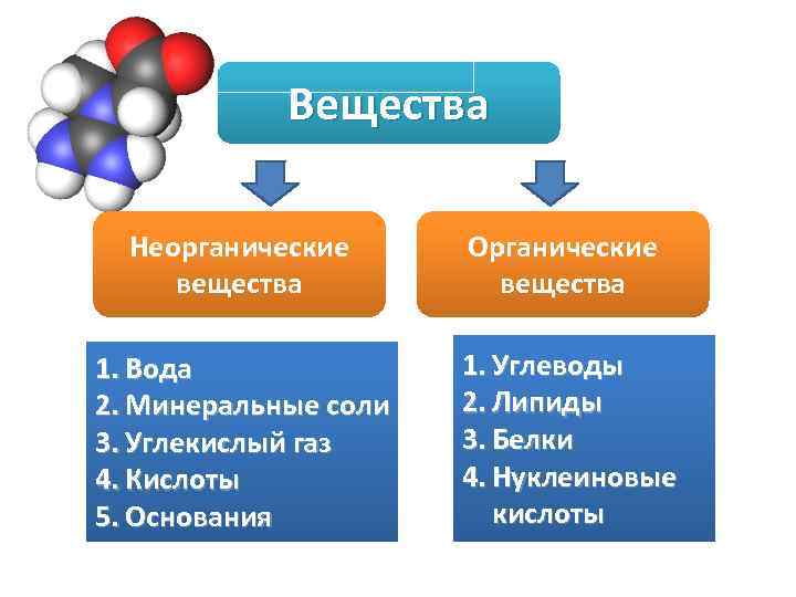 Презентация на тему органические и неорганические вещества