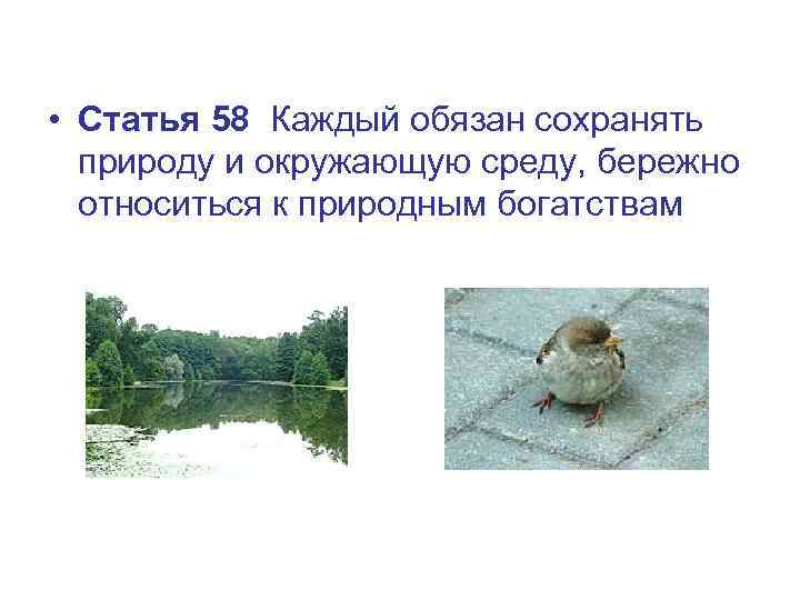  • Статья 58 Каждый обязан сохранять природу и окружающую среду, бережно относиться к