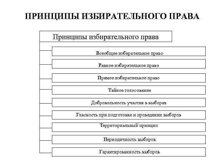 Правовые основы избирательного права рф план