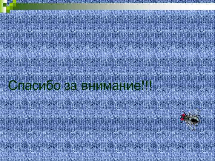 Спасибо за внимание!!! 