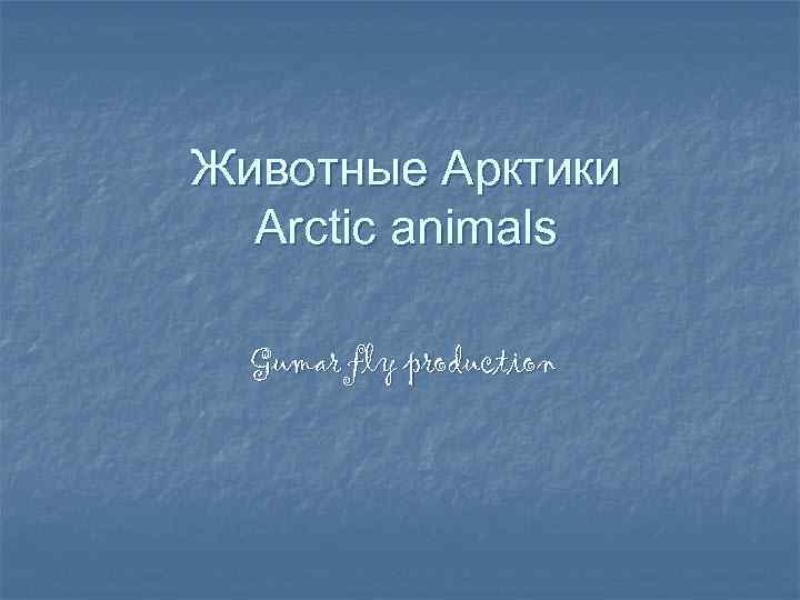 Животные Арктики Arctic animals Gumar fly production 