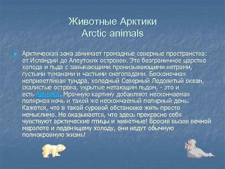 Животные Арктики Arctic animals n Арктическая зона занимает громадные северные пространства: от Исландии до