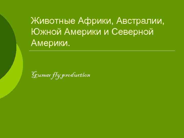 Животные Африки, Австралии, Южной Америки и Северной Америки. Gumar fly production 