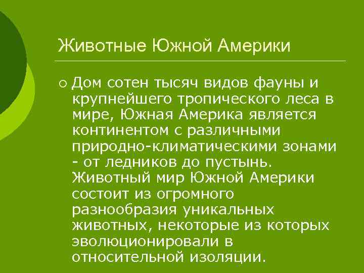 Животные Южной Америки ¡ Дом сотен тысяч видов фауны и крупнейшего тропического леса в