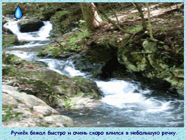 Ручеёк бежал быстро и очень скоро влился в небольшую речку. 