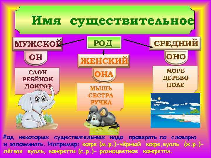 Имя существительное МУЖСКОЙ ОН СЛОН РЕБЁНОК ДОКТОР РОД ЖЕНСКИЙ ОНА МЫШЬ СЕСТРА РУЧКА СРЕДНИЙ