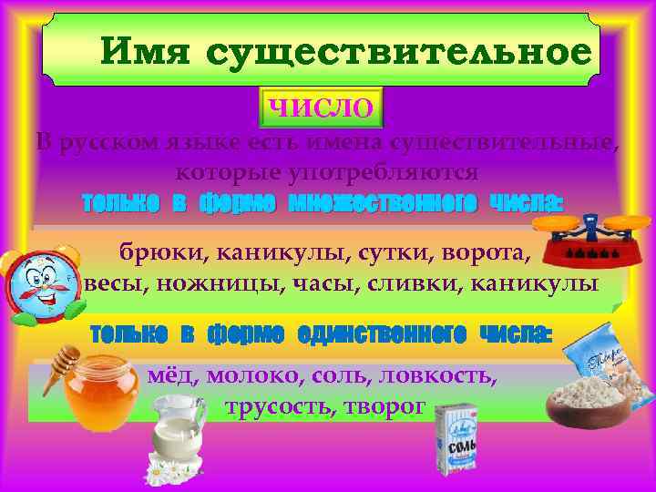 Имя существительное ЧИСЛО В русском языке есть имена существительные, которые употребляются только в форме