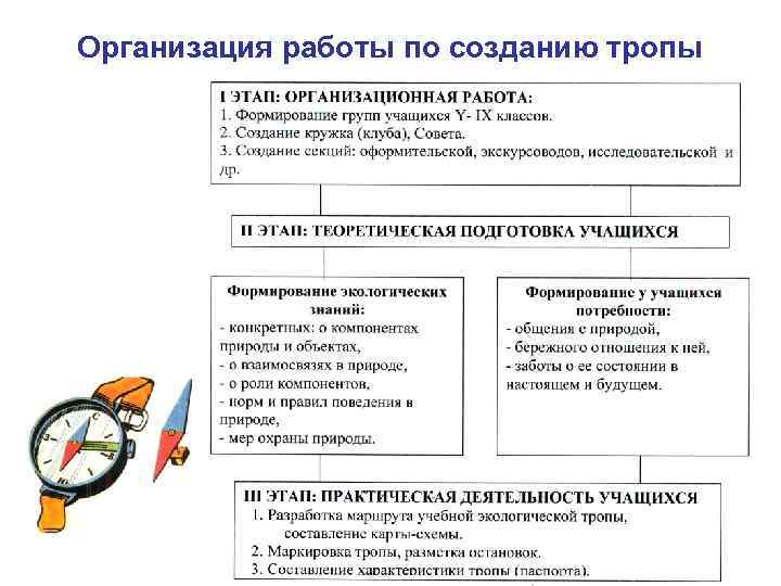 Организация работы по созданию тропы 12 