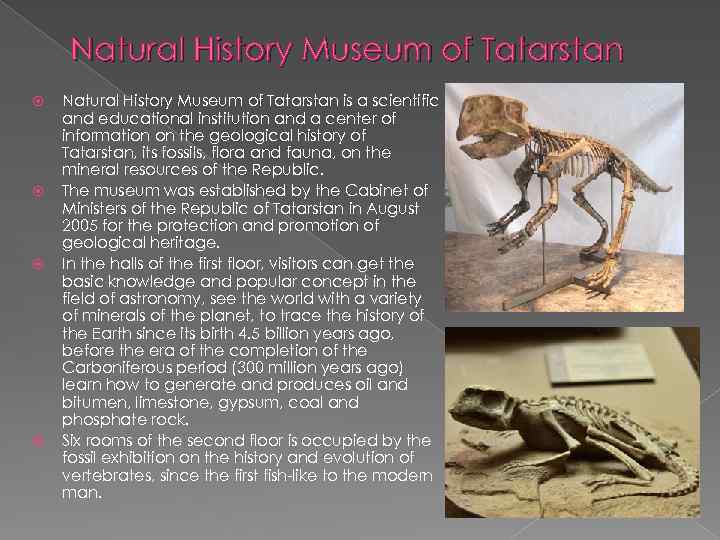Natural History Museum of Tatarstan Natural History Museum of Tatarstan is a scientific and