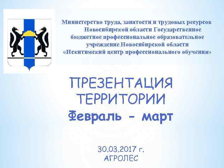 Министерство труда, занятости и трудовых ресурсов Новосибирской области Государственное бюджетное профессиональное образовательное учреждение Новосибирской