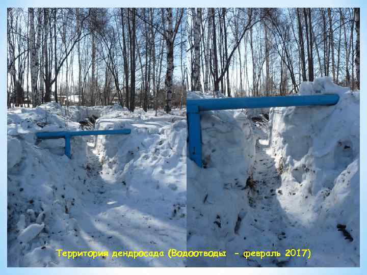 Территория дендросада (Водоотводы - февраль 2017) 