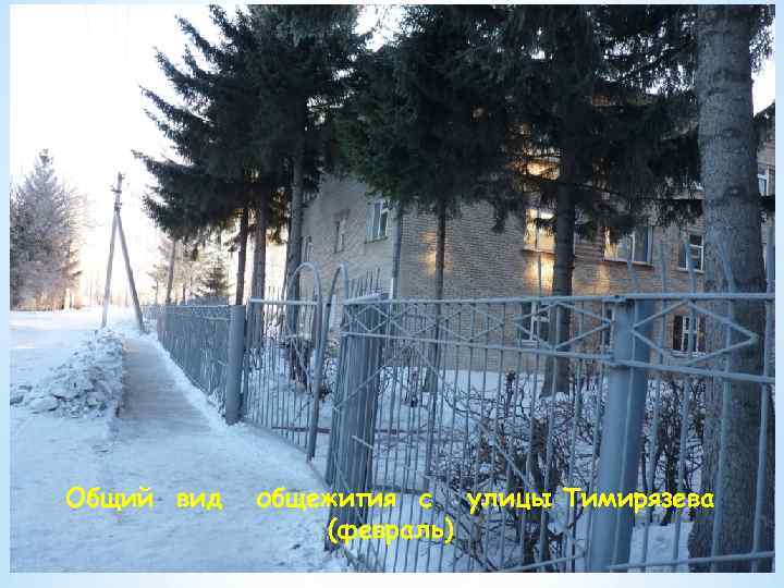 Общий вид общежития с улицы Тимирязева (февраль) 