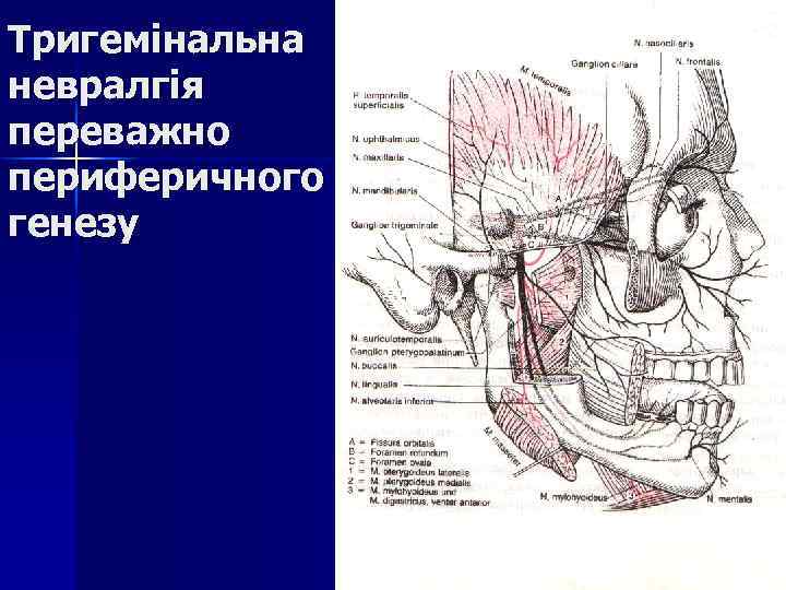 Тригемінальна невралгія переважно периферичного генезу 