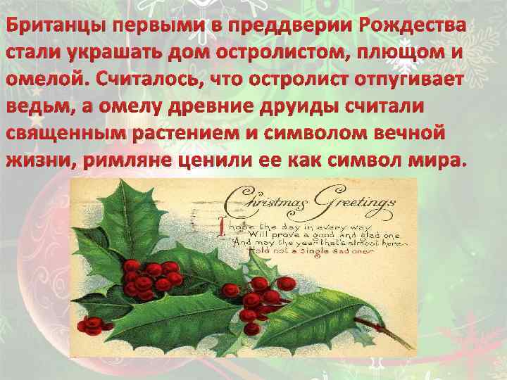 Британцы первыми в преддверии Рождества стали украшать дом остролистом, плющом и омелой. Считалось, что