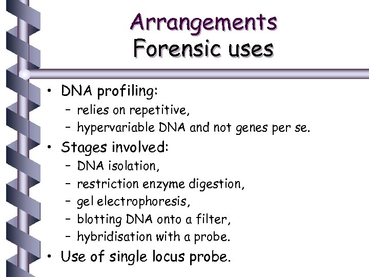 Arrangements Forensic uses • DNA profiling: – relies on repetitive, – hypervariable DNA and