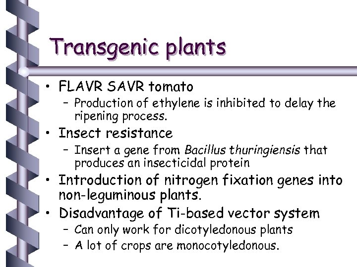 Transgenic plants • FLAVR SAVR tomato – Production of ethylene is inhibited to delay