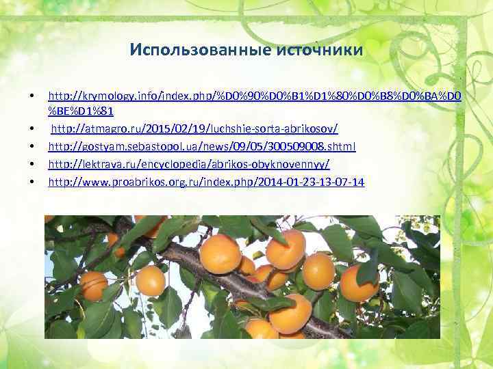 Использованные источники • • • http: //krymology. info/index. php/%D 0%90%D 0%B 1%D 1%80%D 0%B