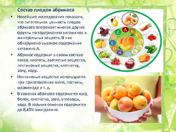  Состав плодов абрикоса • • Новейшие исследования показали, что питательная ценность плодов абрикоса