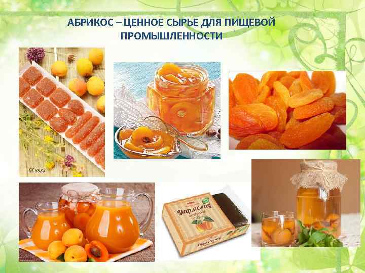 АБРИКОС – ЦЕННОЕ СЫРЬЕ ДЛЯ ПИЩЕВОЙ ПРОМЫШЛЕННОСТИ 