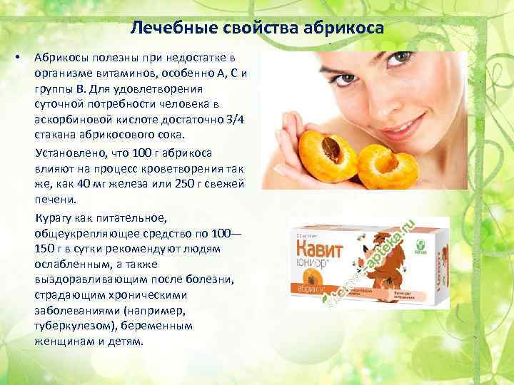 Лечебные свойства абрикоса Абрикосы полезны при недостатке в организме витаминов, особенно А, С и