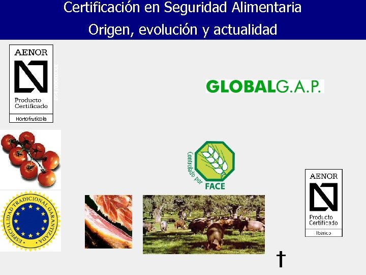 Certificación en Seguridad Alimentaria 054/0000 XXX Origen, evolución y actualidad Hortofrutícola 