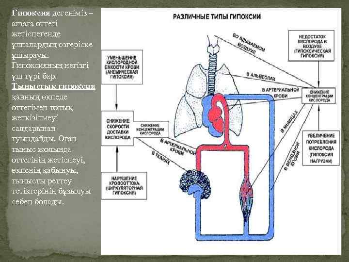 Гипоксия дегеніміз – ағзаға оттегі жетіспегенде ұлпалардың өзгеріске ұшырауы. Гипоксияның негізгі үш түрі бар.
