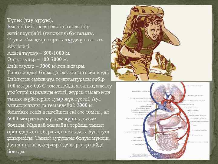 Түтек (тау ауруы). Белгілі биіктіктен бастап оттегінің жетіспеушілігі (гипоксия) басталады. Таулы аймақтар шартты түрде