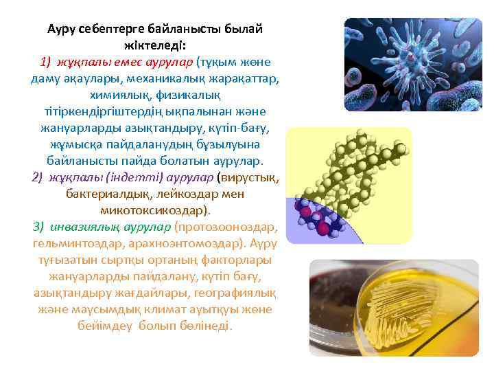 Ауру себептерге байланысты былай жіктеледі: 1) жұқпалы емес аурулар (тұқым жөне даму ақаулары, механикалық