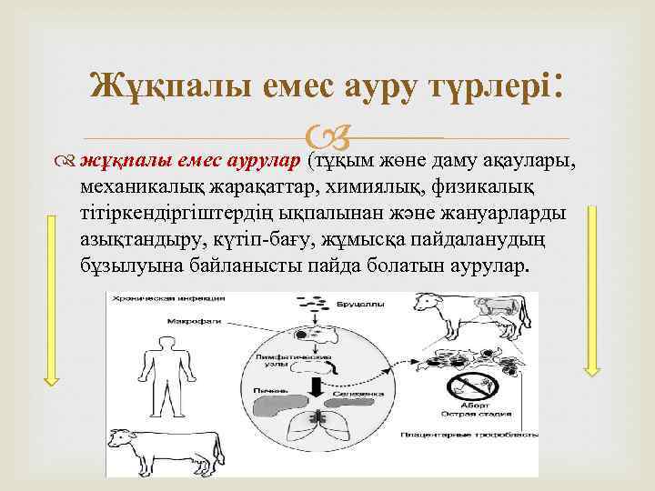 Жұқпалы емес ауру түрлері: жұқпалы емес аурулар (тұқым жөне даму ақаулары, механикалық жарақаттар, химиялық,