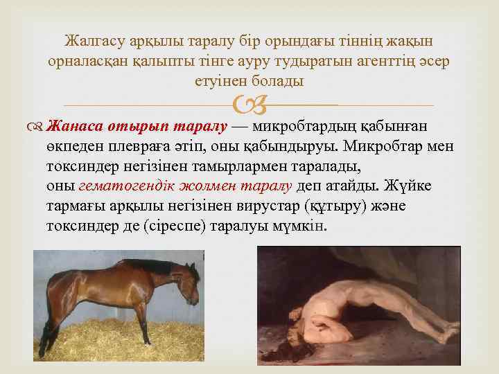 Жалгасу арқылы таралу бір орындағы тіннің жақын орналасқан қалыпты тінге ауру тудыратын агенттің әсер