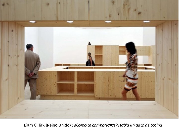 Liam Gillick (Reino Unido) : ¿Cómo te comportarás? Habla un gato de cocina 