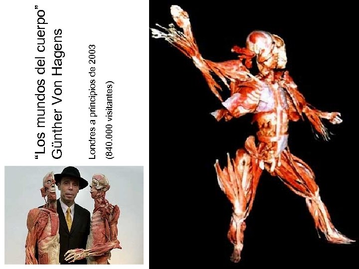 (840. 000 visitantes) Londres a principios de 2003 “Los mundos del cuerpo” Günther Von
