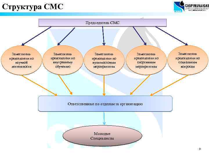 Структура СМС Председатель СМС Заместитель председателя по научной деятельности Заместитель председателя по внутреннему обучению