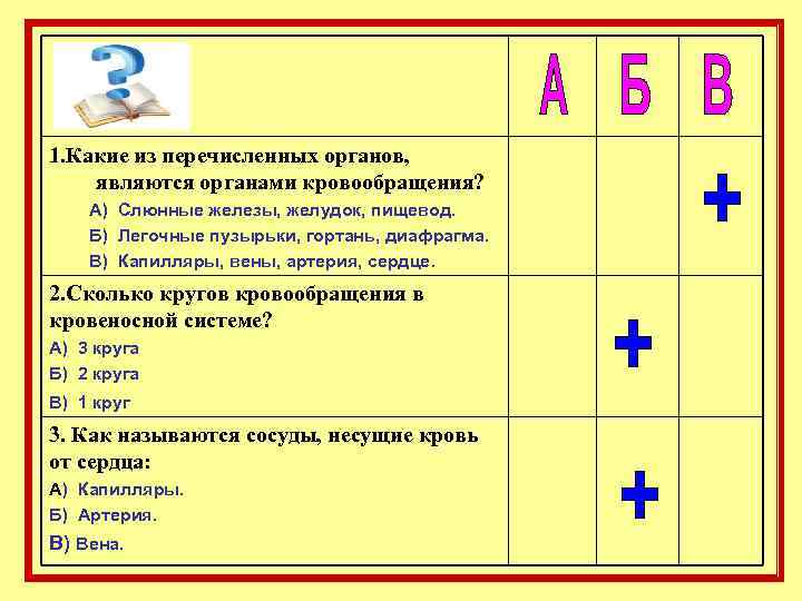 1. Какие из перечисленных органов, являются органами кровообращения? А) Слюнные железы, желудок, пищевод. Б)