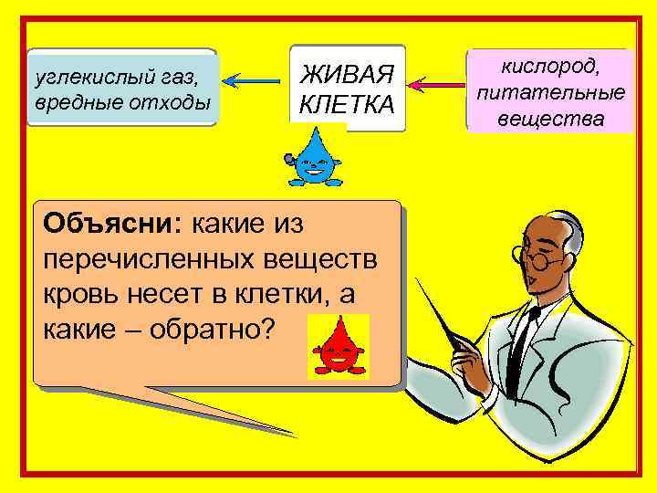 углекислый газ, вредные отходы ЖИВАЯ КЛЕТКА Объясни: какие из перечисленных веществ кровь несет в